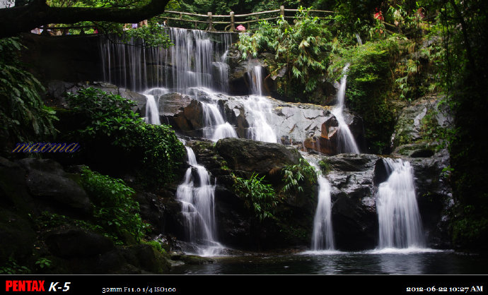 肇庆鼎湖山活动总结 肇庆鼎湖山活动总结