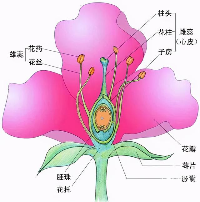 200f14e1c7d22cf22e403f7fd9515e27.png