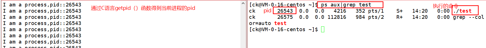 image-20220112142317993