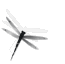44be843b3ff0de555345ec86924198eb.gif