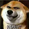webp