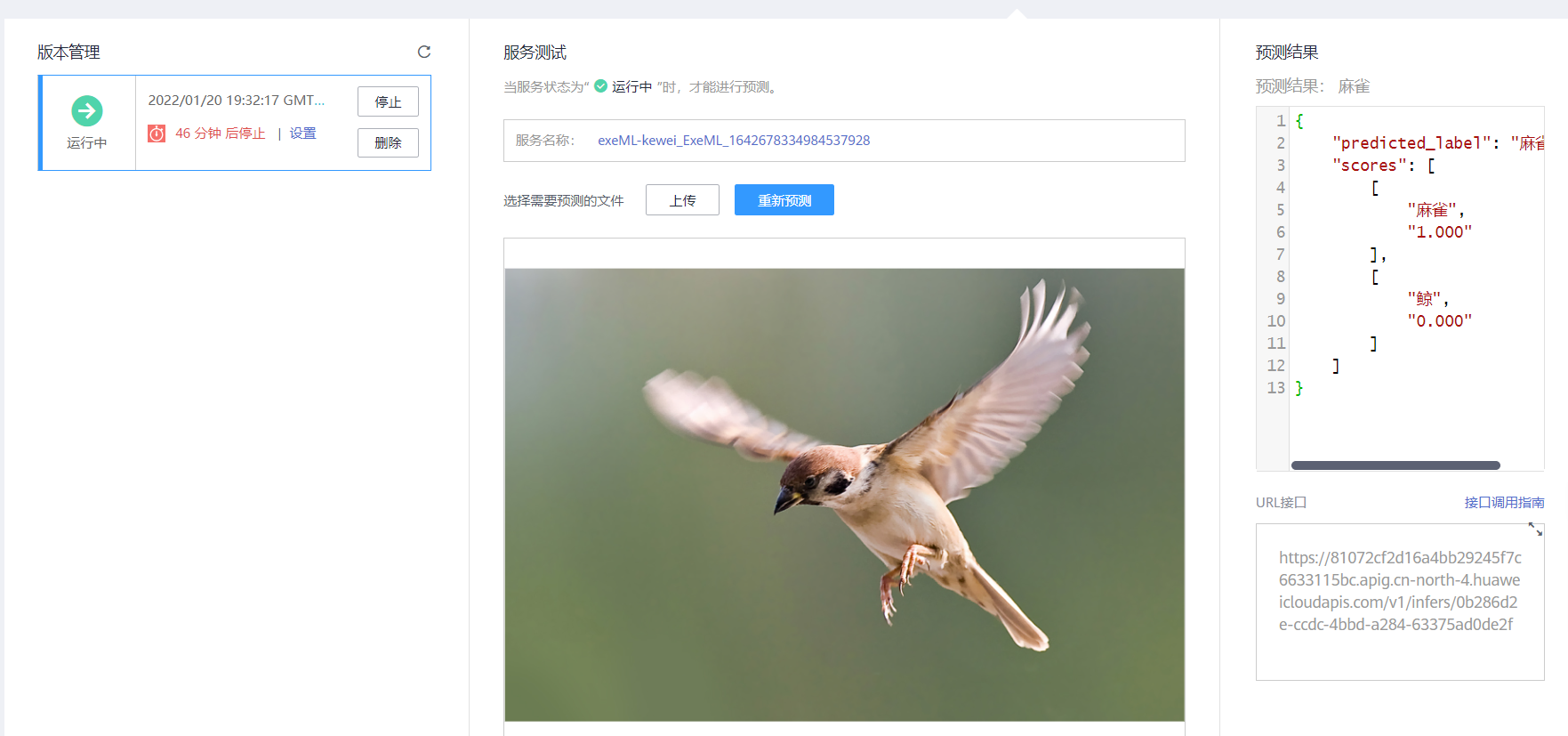 image-20220120194755807