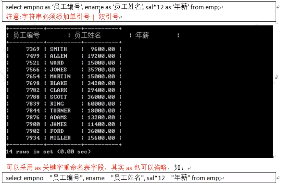 image-20220207102802885