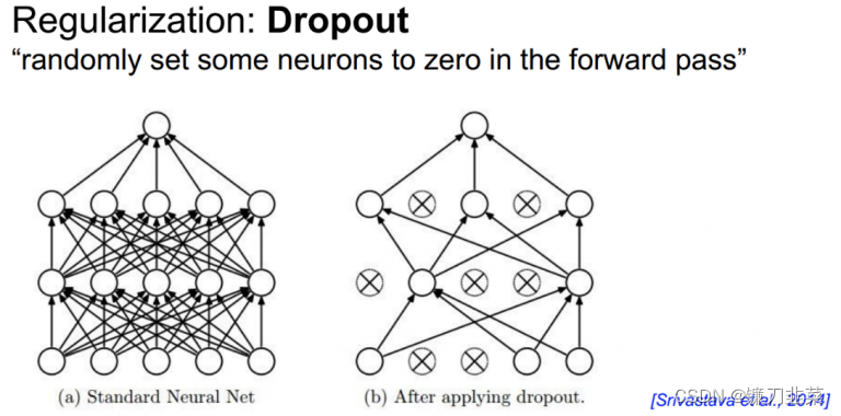Dropout