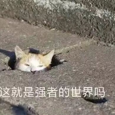 03e8b3641c10744330f504403a2b0196.png
