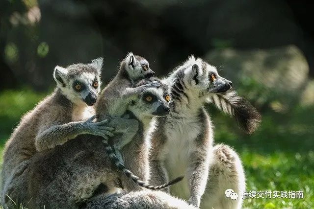 ad0910877a4475f66ef798b7d8383116.png