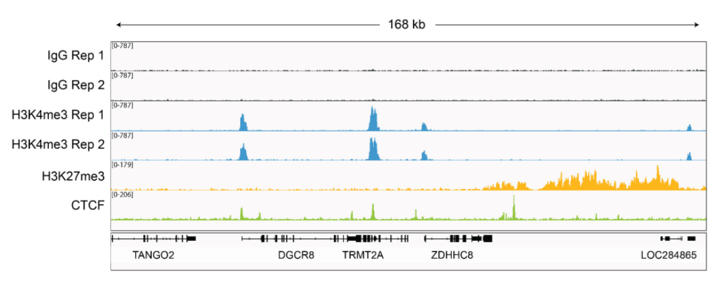 Epicypher热销产品——CUTANA™ ChIC/CUT&RUN Kit