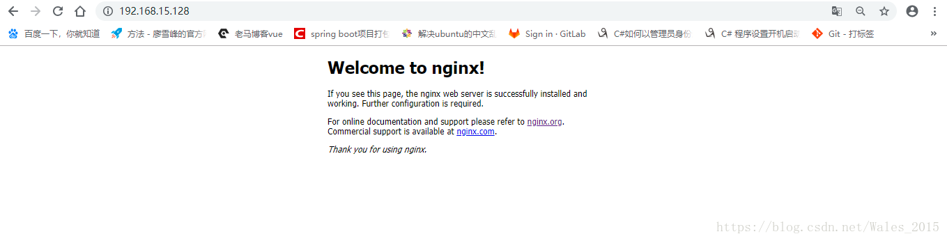 nginx运行成功结果