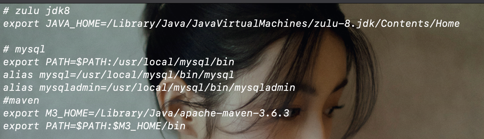 image-20230218194541982