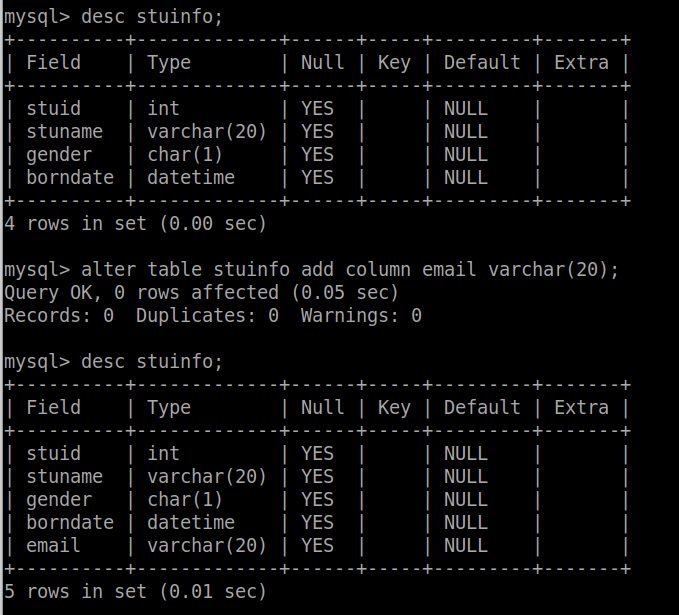 image-20210304213141516