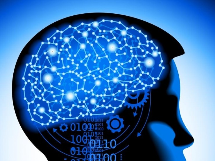 AI 黑箱难题怎么破？基于神经网络模型的算法使机器学习透明化