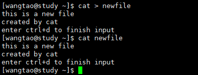 cat_create_file