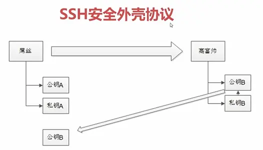 11997621-945ee0f3335b59cd.png