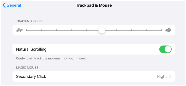 Mouse customization in iPadOS