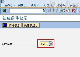 维护条件记录_销项税(MWST)
