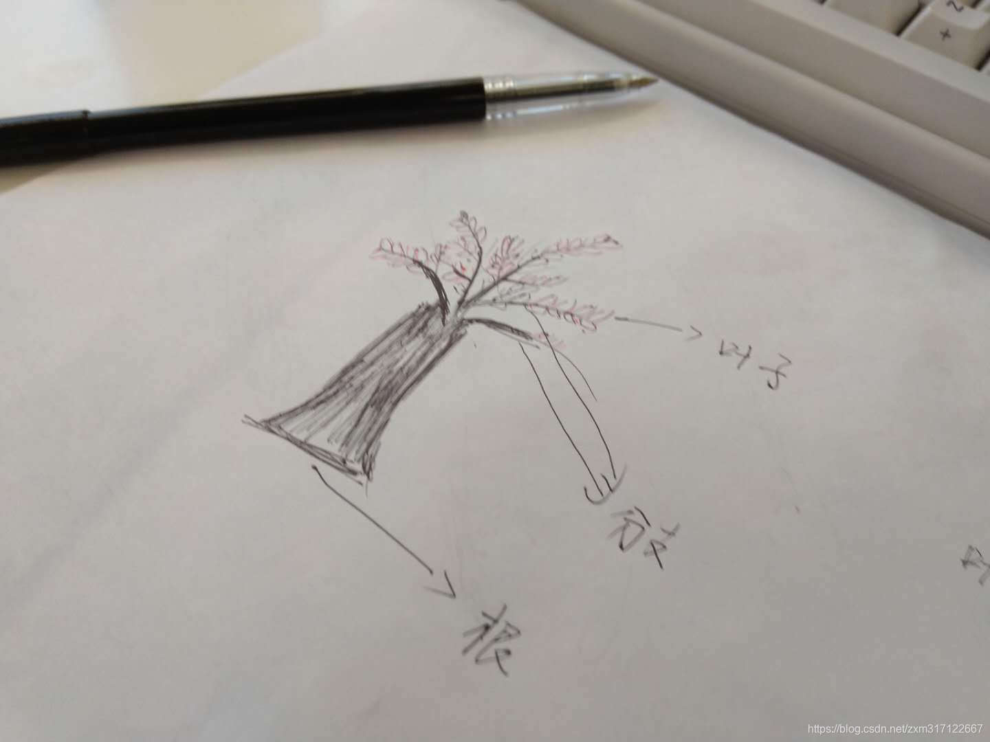 数据结构--树(Tree)_树和图没有做成内置的结构-CSDN博客
