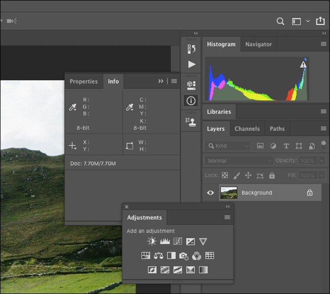 The "Info," "Histogram," and "Adjustments" panels.