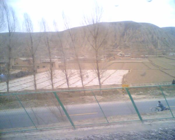r_IMAGE_119.jpg