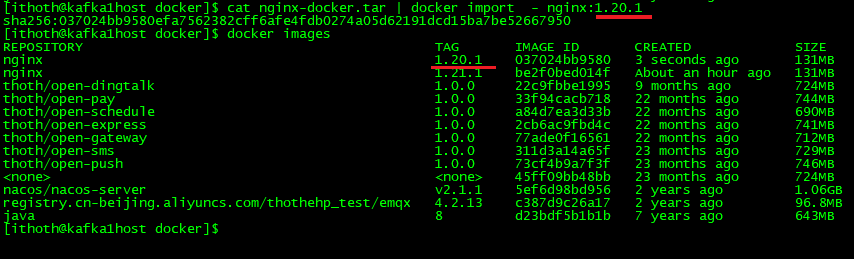 Docker 容器中镜像导出/导入_nginx_02