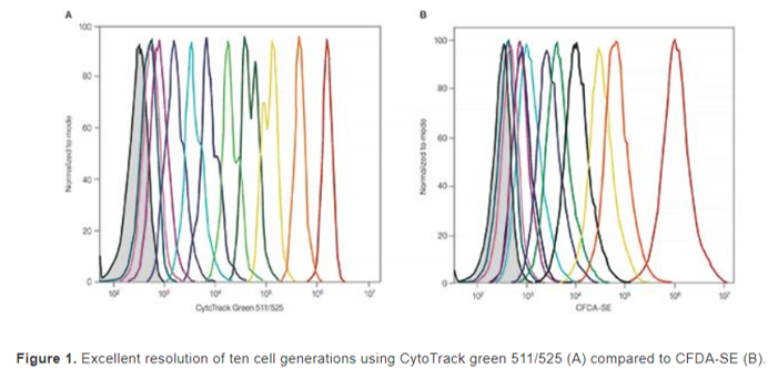 检测细胞增殖实验及可使用产品介绍