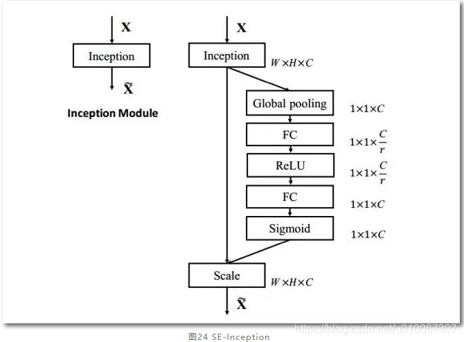 SENet_inception