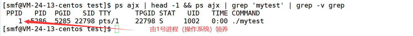 image-20221004172228881