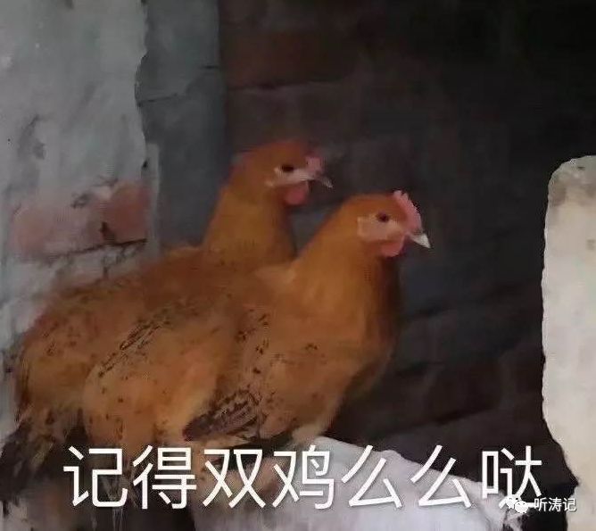d0446b75bd2c2c9be5cb48ce4cf30b39.png