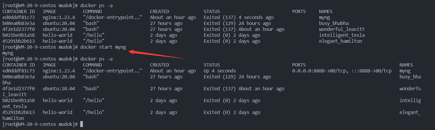 Docker 使用基础（3）—容器_docker --cpus