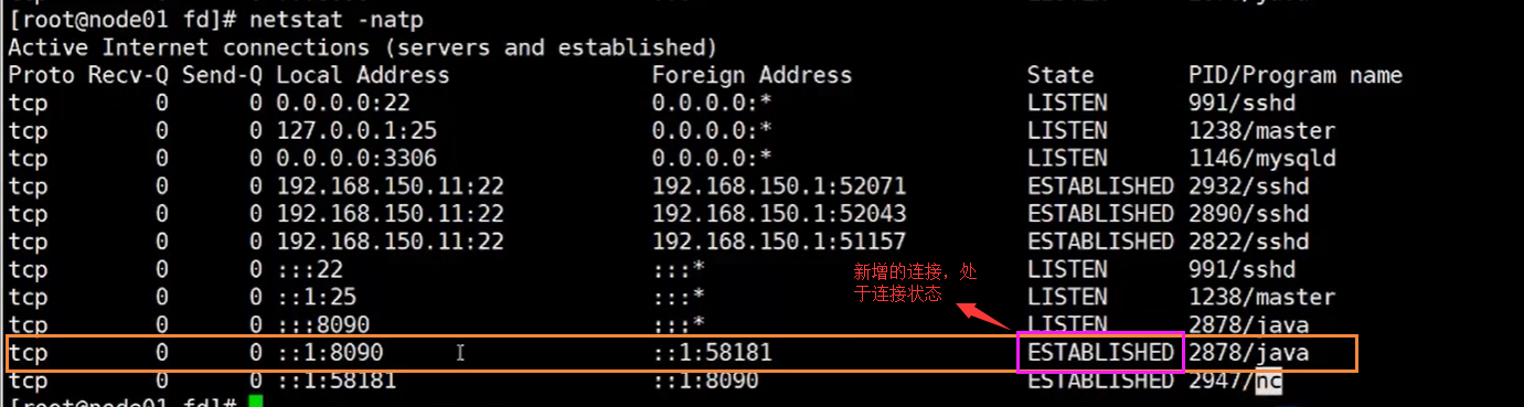 阿里Java二面：从底层聊下IO多路复用模型？这不有嘴就会