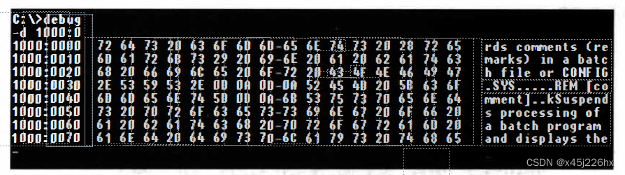 re——基础入门（2）段和debug