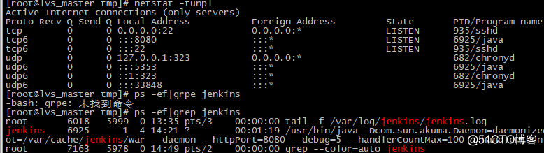 安装Jenkins并构建Docker镜像