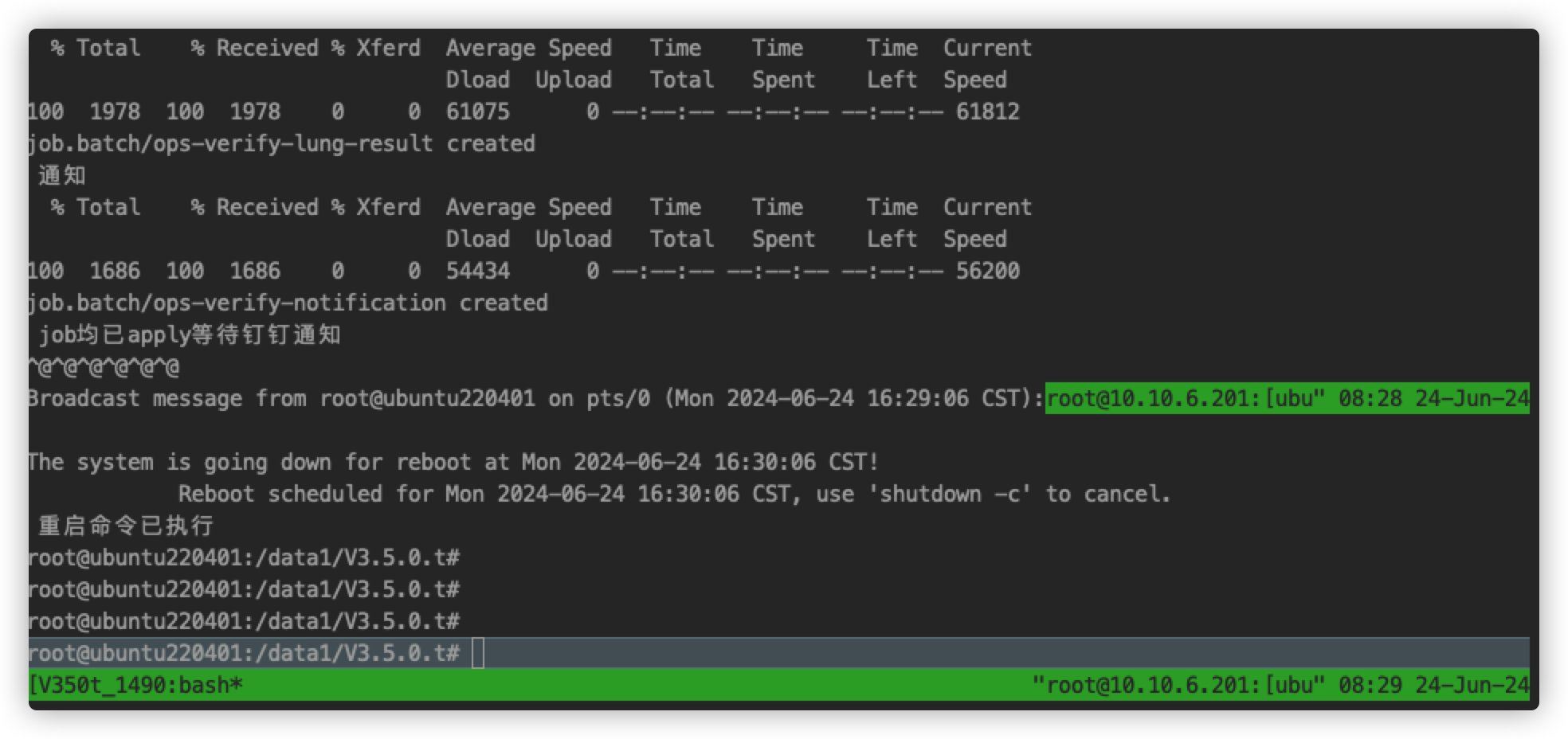 image-20240624162934683