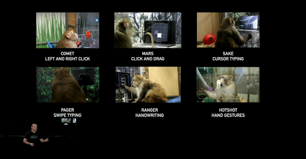 3147e99f20da524af1deb45131f0fb39.gif