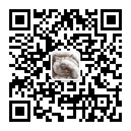 矿洞程序员