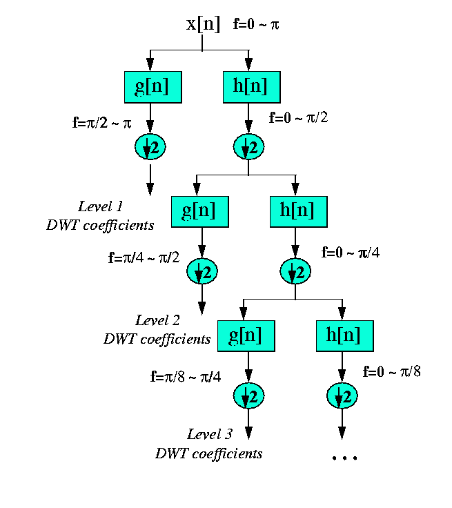 FT STFT CWT DWT 最经典理解_fswt和cwt-CSDN博客