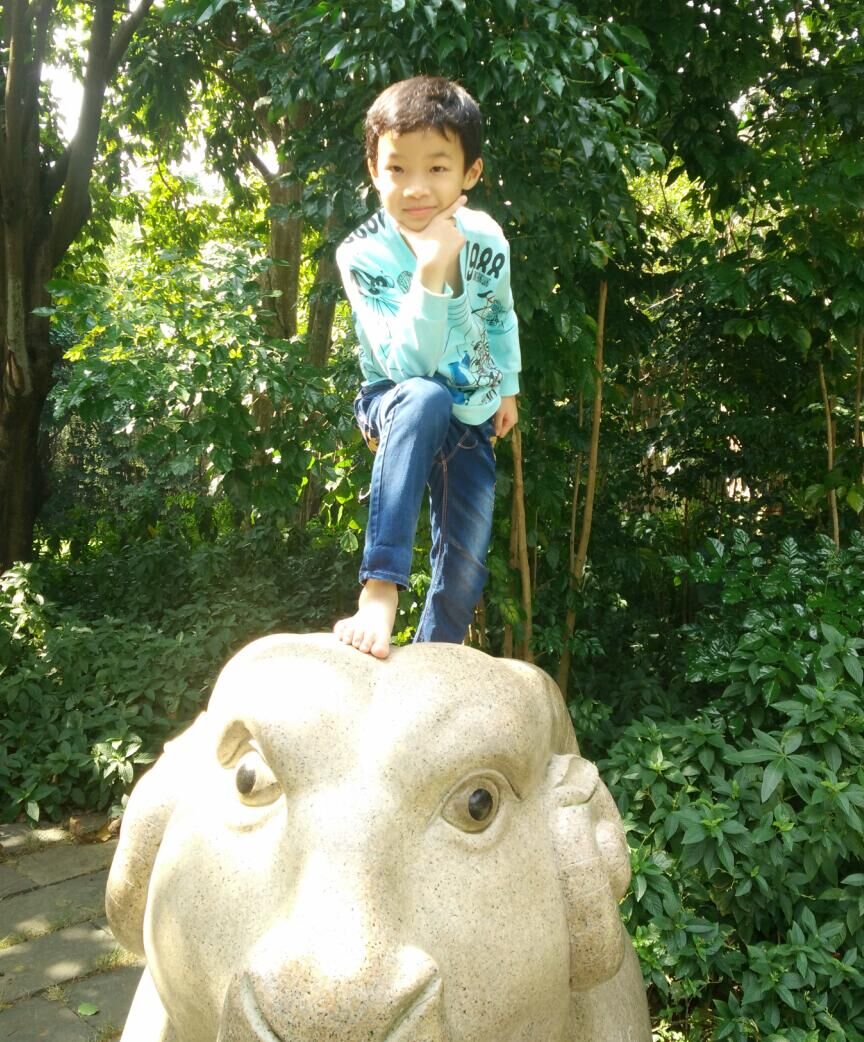 输入图片说明