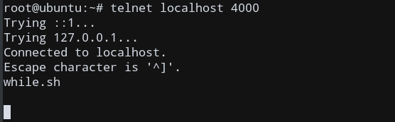 Check Port Using Telnet