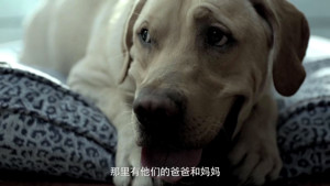 为了找出羞羞视频，百度云居然有娇喘模式