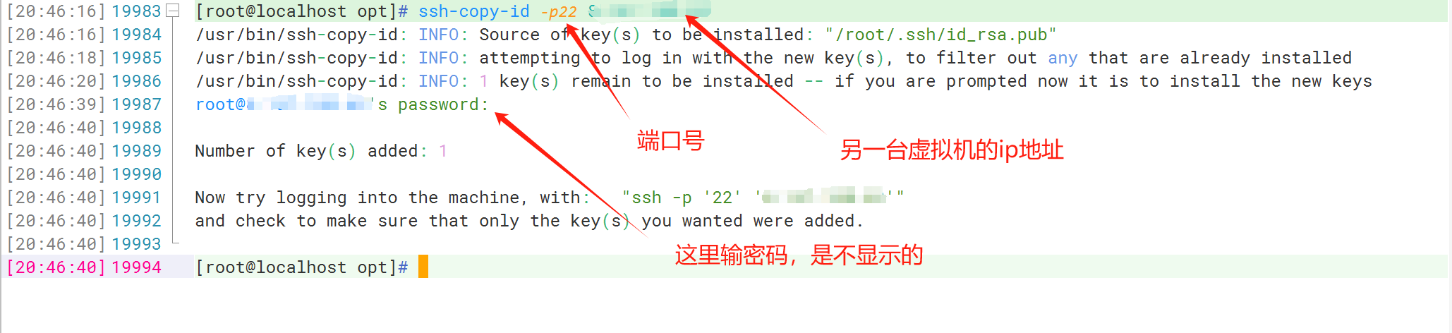 image-20240109204839934