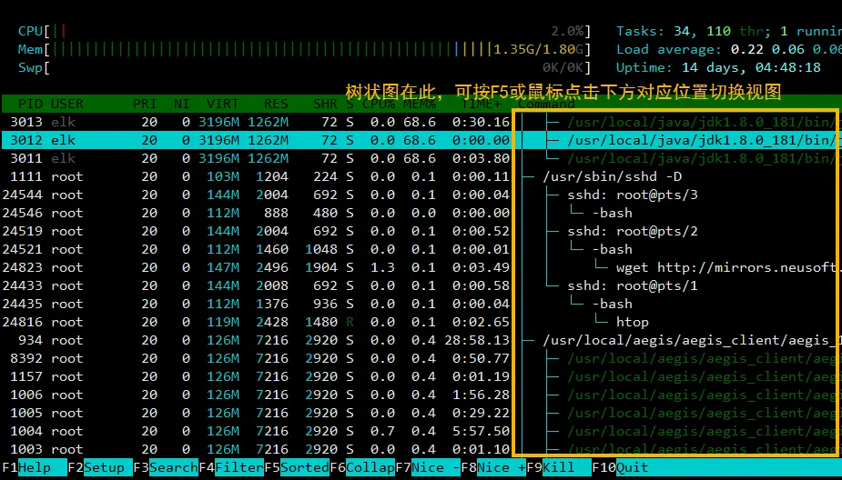 htop 进程树状图