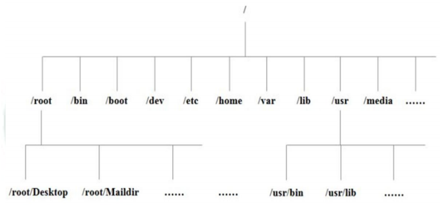 image-20210311173903956