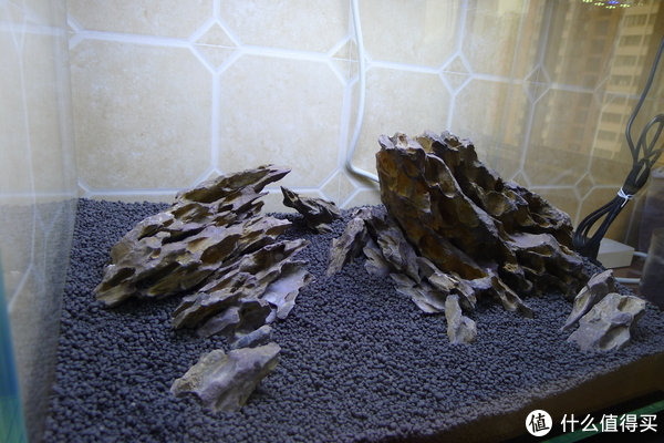 开缸种草篇