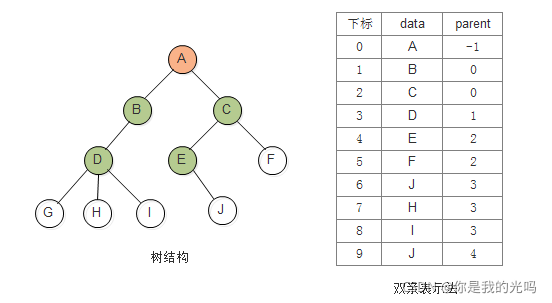 双亲表示法