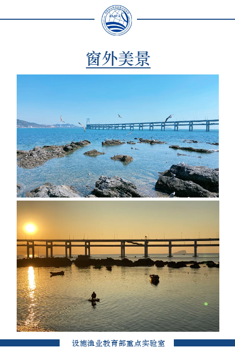 5df1756da73c8c4e3654b1e6e5a78c0b.png