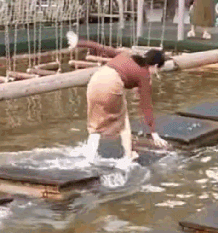 5.gif