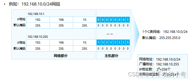 网工-网络层协议详解
