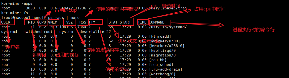 image-20210619175857359