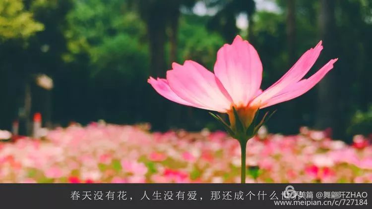 8b3e41ab91cbd4fb15d1d91212ca4248.png