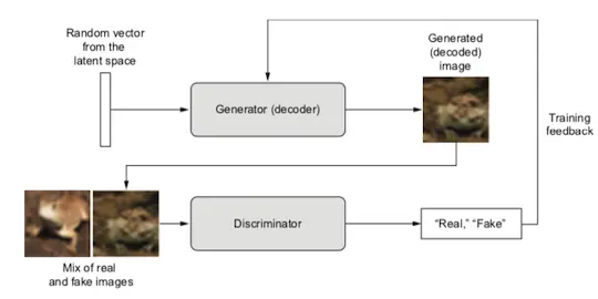 屏幕快照 2019-02-22 上午11.39.43.png