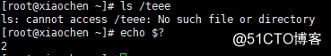 Linux  文件管理